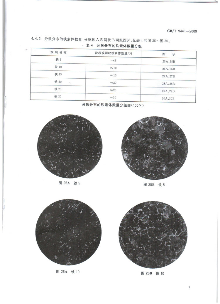 球墨铸铁金相检验国家标准GB/T 9441-2009